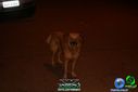 Filename=DSC02601.jpg
Filesize=49KiB
Dimensions=790x527
Date added=Aug 05, 2013 DSC02601.jpg