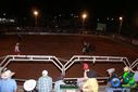 Filename=DSC00100.jpg
Filesize=84KiB
Dimensions=790x527
Date added=Oct 19, 2013 DSC00100.jpg