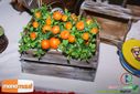 Filename=DSC04581.jpg
Filesize=101KiB
Dimensions=790x527
Date added=Feb 20, 2014 DSC04581.jpg
