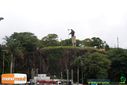 Filename=DSC02036.jpg
Filesize=84KiB
Dimensions=790x527
Date added=Apr 14, 2014 DSC02036.jpg