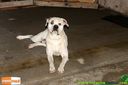 Filename=IMG_0443.jpg
Filesize=98KiB
Dimensions=790x526
Date added=Sep 04, 2014 IMG_0443.jpg