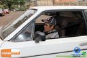 Filename=IMG_0196.jpg
Filesize=95KiB
Dimensions=790x526
Date added=Jul 28, 2014 IMG_0196.jpg