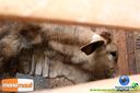Filename=IMG_0665.jpg
Filesize=93KiB
Dimensions=790x526
Date added=Jul 28, 2014 IMG_0665.jpg