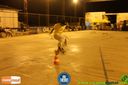 Filename=IMG_0380.jpg
Filesize=80KiB
Dimensions=790x526
Date added=Aug 11, 2014 IMG_0380.jpg