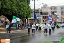 Filename=IMG_9015.jpg
Filesize=140KiB
Dimensions=790x527
Date added=Sep 09, 2014 IMG_9015.jpg