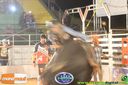 Filename=IMG_0032.jpg
Filesize=106KiB
Dimensions=800x532
Date added=Aug 08, 2014 IMG_0032.jpg