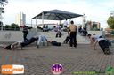 Filename=IMG_0149.jpg
Filesize=111KiB
Dimensions=790x526
Date added=Jun 15, 2014 IMG_0149.jpg