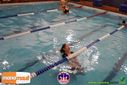 Filename=DSC06558.jpg
Filesize=101KiB
Dimensions=790x527
Date added=Feb 28, 2014 DSC06558.jpg