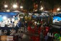 DSC00255.jpg