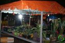 DSC00296.jpg