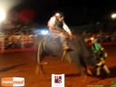 21-03-2015_rodeio_39.jpg