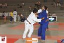 Filename=IMG_2403.jpg
Filesize=81KiB
Dimensions=790x527
Date added=Nov 09, 2015 IMG_2403.jpg