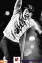 Filename=19681523324_189335e74b_z.jpg
Filesize=52KiB
Dimensions=427x640
Date added=Aug 07, 2015 19681523324_189335e74b_z.jpg