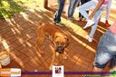 Filename=IMG_0131.jpg
Filesize=135KiB
Dimensions=790x526
Date added=Jun 22, 2015 IMG_0131.jpg