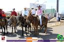 Filename=IMG_4806.jpg
Filesize=128KiB
Dimensions=790x527
Date added=Sep 20, 2015 IMG_4806.jpg
