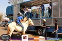 Filename=IMG_0611.jpg
Filesize=157KiB
Dimensions=790x527
Date added=Aug 09, 2015 IMG_0611.jpg
