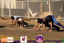 Filename=IMG_0814.jpg
Filesize=144KiB
Dimensions=790x526
Date added=May 02, 2015 IMG_0814.jpg