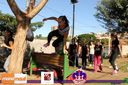 Filename=IMG_0849.jpg
Filesize=143KiB
Dimensions=790x526
Date added=May 02, 2015 IMG_0849.jpg
