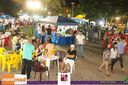 Filename=IMG_0102.jpg
Filesize=151KiB
Dimensions=790x526
Date added=Apr 15, 2015 IMG_0102.jpg