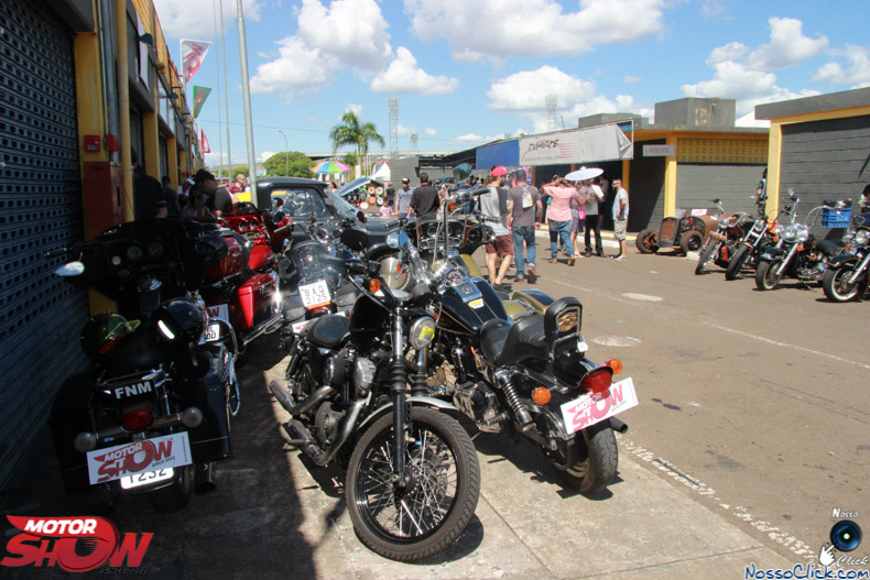 IMG_7705.jpg