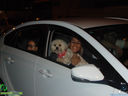 DSC00330.jpg