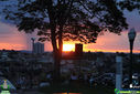 Filename=IMG_9237.jpg
Filesize=178KiB
Dimensions=790x527
Date added=Jan 10, 2017 IMG_9237.jpg