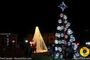 IMG_8335.jpg