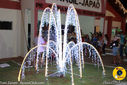 IMG_8363.jpg