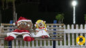 IMG_8523.jpg
