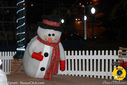 IMG_8530.jpg