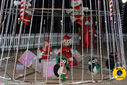 IMG_8535.jpg