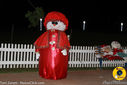 IMG_8537.jpg