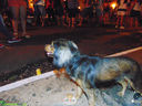 DSC02059.jpg