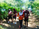 DSC08207.jpg