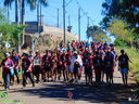 DSC08245.jpg