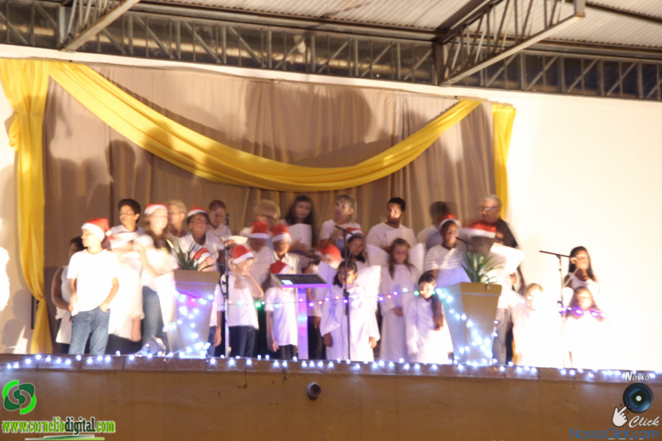 IMG_7529.jpg