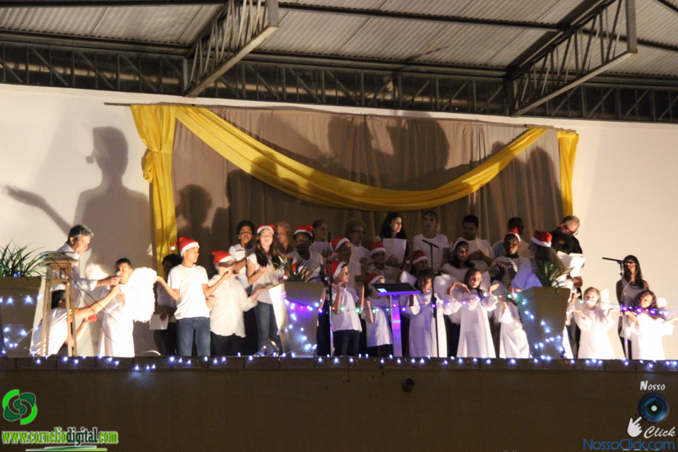 IMG_7533.jpg