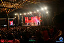 IMG_8357.jpg