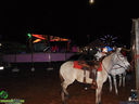 DSC09068.jpg