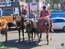 DSC09811.jpg