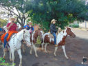 DSC09825.jpg