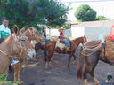 DSC09836.jpg