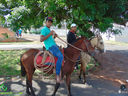 DSC09847.jpg