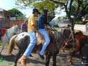 DSC09853.jpg