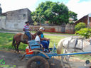 DSC09889.jpg