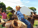 DSC09899.jpg