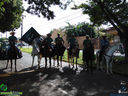 DSC09913.jpg