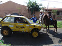 DSC09923.jpg