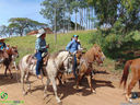 DSC09933.jpg