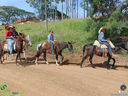 DSC09951.jpg